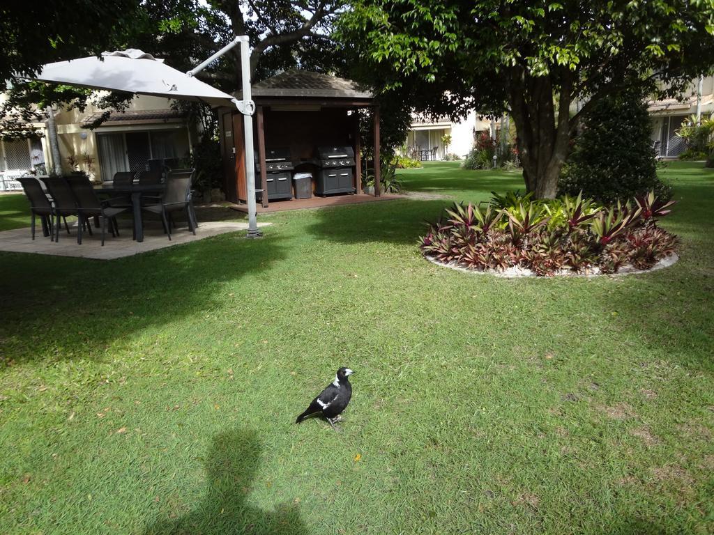 Noosa Gardens Riverside Resort 누사빌 객실 사진